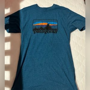 Patagonia tee